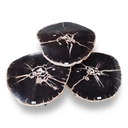 Jeno Nesting Coffee Table (set of 3) - Natural Dark