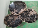 Jeno Nesting Coffee Table (set of 3) - Natural Dark